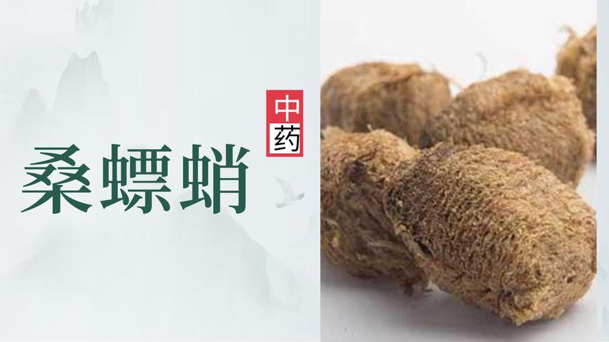产房桑螵蛸